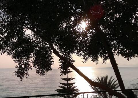 Lemonelia, One Big,4-5 People And One Small ,2-3 People Holiday home Loutsa (Preveza)