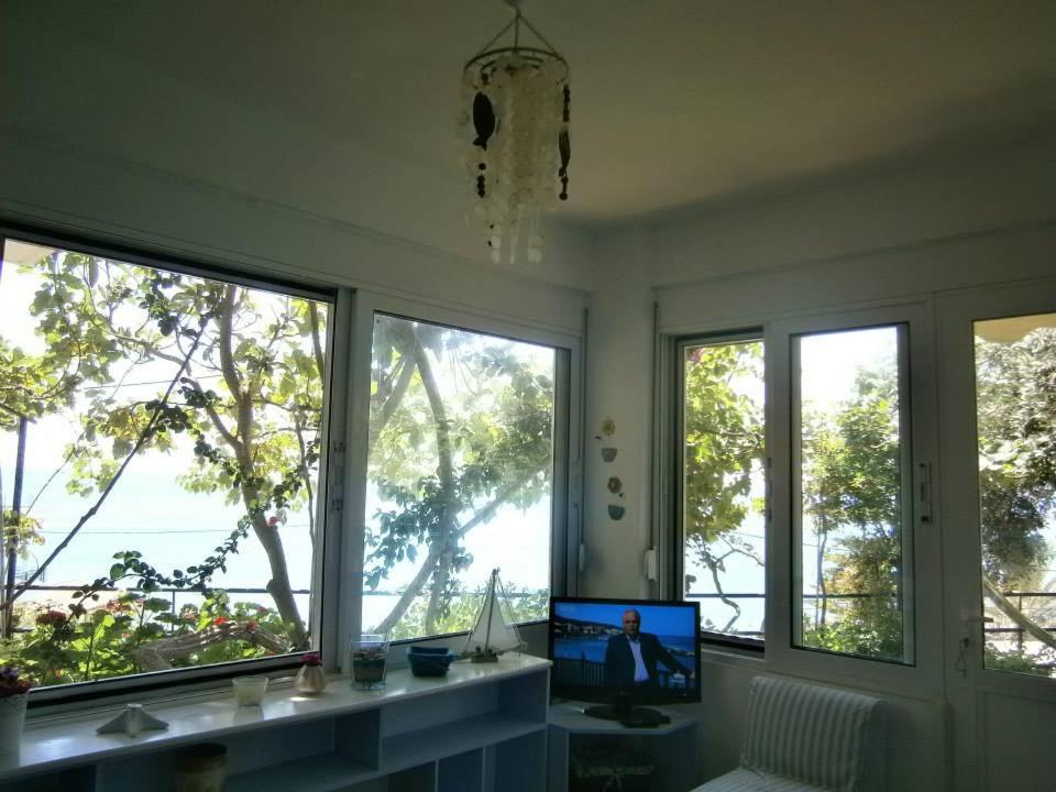Lemonelia, One Big,4-5 People And One Small ,2-3 People Holiday home Loutsa (Preveza)