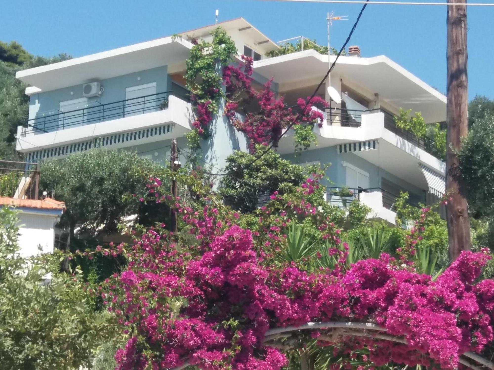 Lemonelia, One Big,4-5 People And One Small ,2-3 People Loutsa (Preveza)