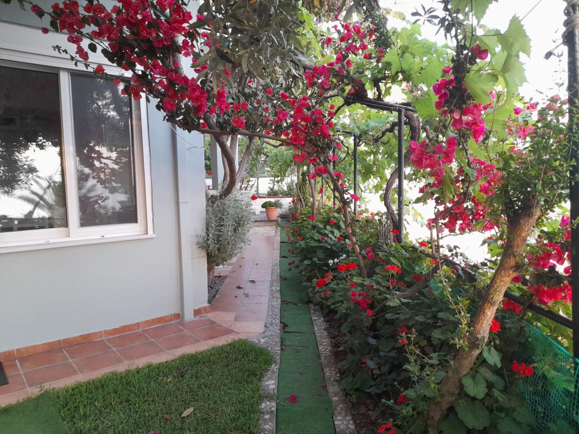 Lemonelia, One Big,4-5 People And One Small ,2-3 People Holiday home